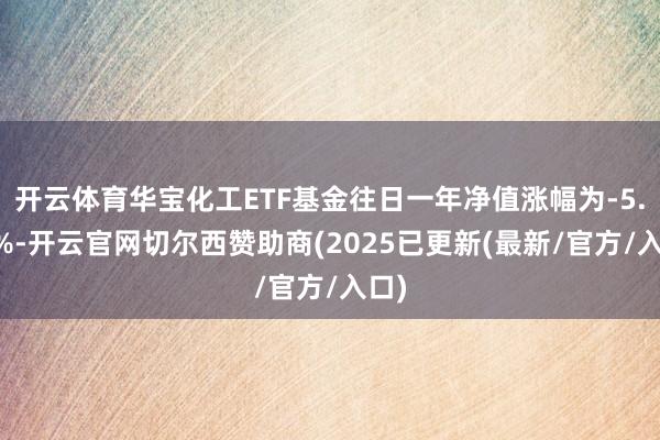 开云体育华宝化工ETF基金往日一年净值涨幅为-5.07%-开云官网切尔西赞助商(2025已更新(最新/官方/入口)