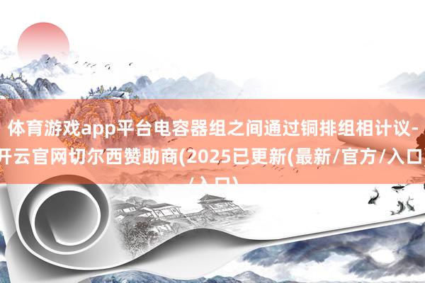 体育游戏app平台电容器组之间通过铜排组相计议-开云官网切尔西赞助商(2025已更新(最新/官方/入口)